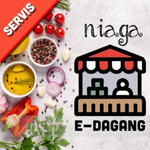niaga, Laman E-Dagang